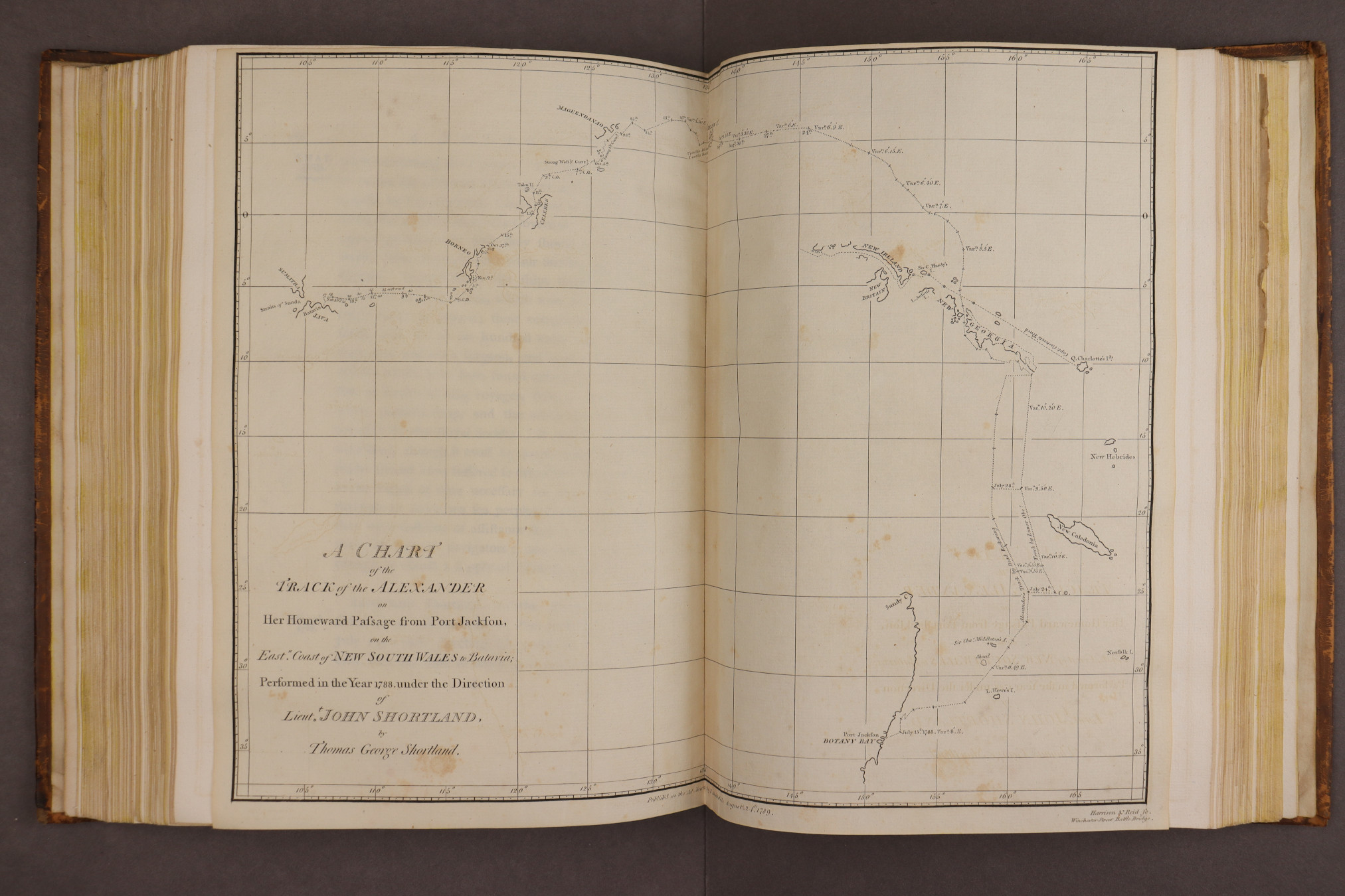 Plate 34